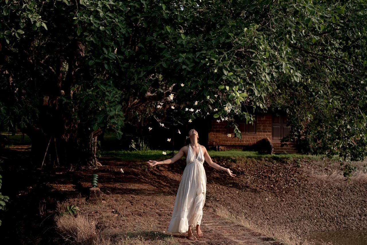 Swaswara Wellness - A Cgh Earth Experience, Gokarna (Karnataka)
